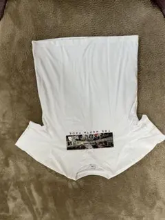 The North Face ホワイト Tシャツ M