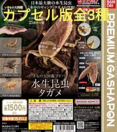 dai様 リクエスト 2点 まとめ商品