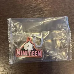 ミニティーンぷっくりめじるしアクセサリー　ウジ