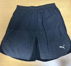 Item thumbnail for item 560cb775-1fa1-4ffc-88ca-d850876bab83