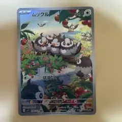 ポケモンカード　ムックル　AR