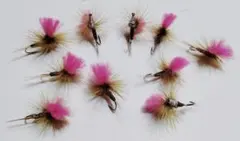 Item thumbnail for item 70eb15c2-b24b-451f-b9d7-b9d5b381ebec