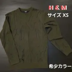 H&M ジャガード ニット ☆希少 レアカラーのサムネイル