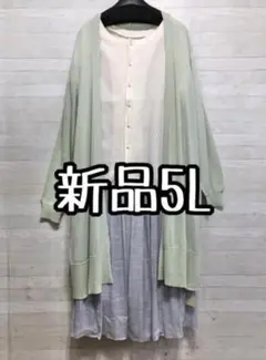 新品☆5L爽やかきれい♪おしゃれウエア3点セット〇D677