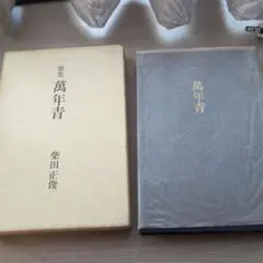 歌集 萬年青 柴田正俊 短歌