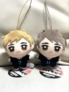 ハイキュー ぬいぷりけmini 2種セット