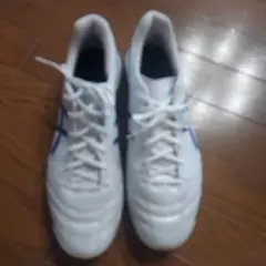 Item thumbnail for item d168079c-77de-457c-a727-6d4b9763adb1