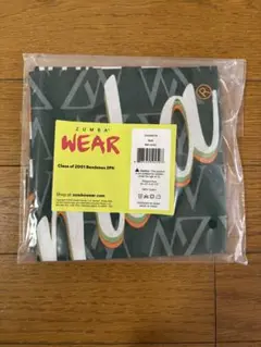 Zumba 正規品！最新作！未使用品　バンダナ　グリーン