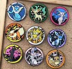 ポケふた風　ポケモンマンホール　イーブイ進化セット　イーブイすき　pokemon