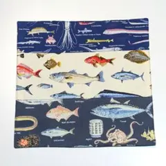 131 魚　ランチマット　アウトレット　長期在庫品のサムネイル