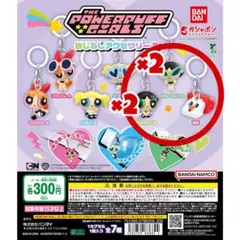 パワーパフガールズ めじるしアクセサリー 2 まとめ売り 5個セット
