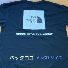 THE NORTH FACE Tシャツ L ブラック　バックロゴあり