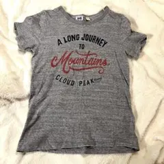 nrab BARNS Tシャツ 半袖 天竺 コットン Tシャツアメカジ