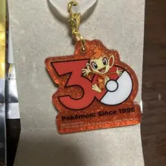 ポケモン Poké-Charm ポケチャーム 30周年ロゴマスコット ヒコザル
