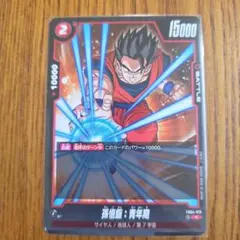 ドラゴンボールカード 孫悟飯
