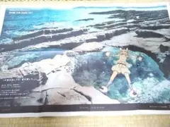 FGO 10周年　新聞広告　宮崎　8/17、8/18