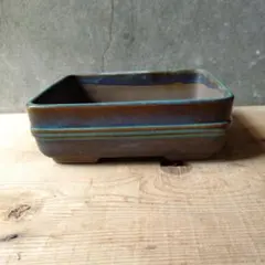 常滑焼　常滑山光作　植木鉢　落款あり 常滑焼 植木鉢 駄温鉢 浅型 5号（直径15cm） : 石田精華園 Yahoo