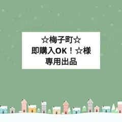 ☆梅子町☆即購入OK！☆様 専用出品