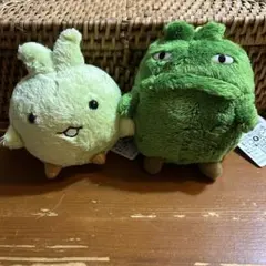 2025年最新】キッコロ ぬいぐるみの人気アイテム - メルカリ