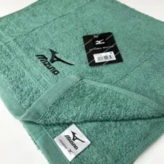 Item thumbnail for item 886e9831-859a-48c7-aa49-de8c7f5eb3d5