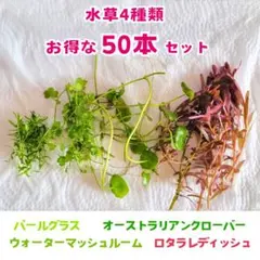 vinyls_for_sale様 リクエスト 2点 まとめ商品