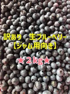 ☆令和8年 生ブルーベリー☆農薬不使用 2㌔ 絶好調 ☆令和8年 生ブルーベリー☆農薬不使用 2㌔ ぶっ子様専用 - メルカリ
