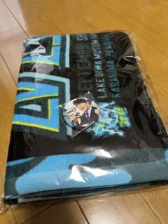 イナズマロックフェス 2025 VIP 特典