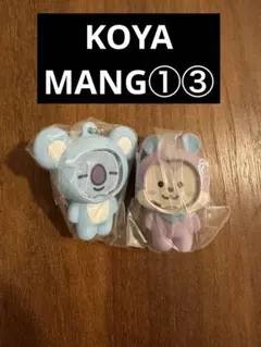 BT21フォトフレームマスコット カプセルトイ (KOYA・MANG)①③