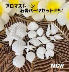 アロマストーン 白い貝殻パーツセット 18個
