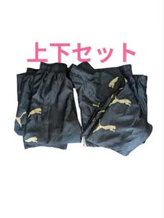 Item thumbnail for item 325111e0-c4cc-4e27-bb59-41250c1ea087