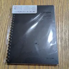 Item thumbnail for item 9d2432b5-a97b-42b9-8cbb-ba5541c5c6b5