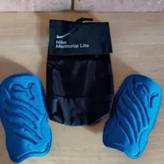 Item thumbnail for item 03ee3f46-9e7e-4966-88f1-c162adf73b0c