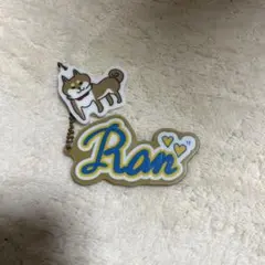 ME:I ミーアイ 石井蘭 RAN アクリルキーホルダー