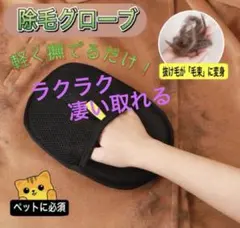 Item thumbnail for item d3298c33-9847-42c7-81e5-cb34bfd70c2d