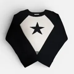 WEGO ラグランスリーブニット y2k