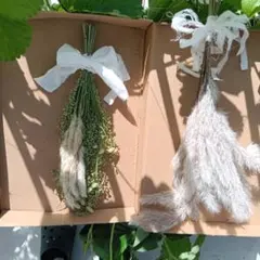 野草たっぷり＊小判草とチガヤのナチュラルスワッグ　初夏のグリーンインテリア
