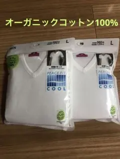 TOPVALU PEACE FIT 半袖Vネックシャツ 2枚セット L サイズ