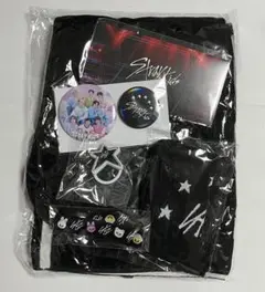 Stray Kids     アップグレード特典セット