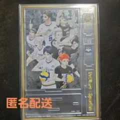 ハイキュー!! × Sportiva スペシャルアクリルパネル スポルティーバ