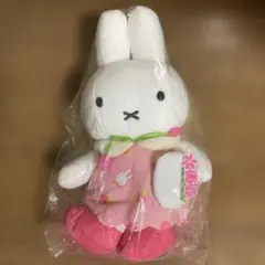 Item thumbnail for item 00b843f8-3a6b-4f99-ace4-6e0542227954