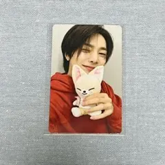 Stray Kids スキズ SKZOO ズートピア アイエン トレカ