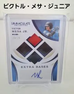 Item thumbnail for item 89fbce9d-baef-4570-ad5d-49e94b393aa5