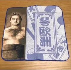 【新品未使用】元大関✴︎琴欧洲さんのハンドタオル✴︎ 大相撲 引退 親方　日本