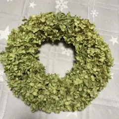 ドライフラワー＊アナベルのグリーンリース＊ナチュラルリース