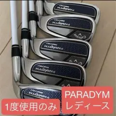 1度使用のみ！レディース　パラダイム