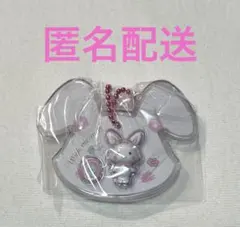 サンリオキャラクターズ　パッケージチャーム　ウィッシュミーメル