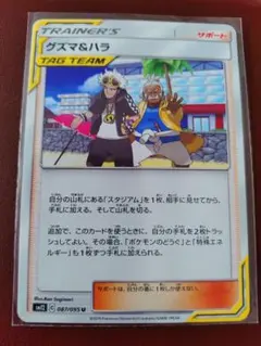 m88050983192_1.jpg?1770870893