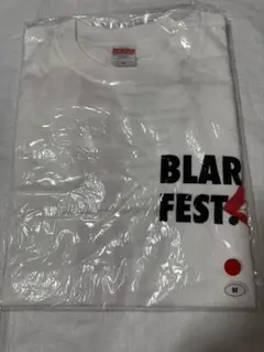 BLARE FEST 2020 ロンT タオル まとめ売り BLARE FEST 2020 ロンT タオル まとめ売り