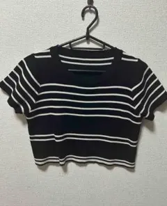 黒と白のストライプ クロップドTシャツ