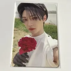 Stray Kids スキズ MAXIDENT フィリックス トレカ